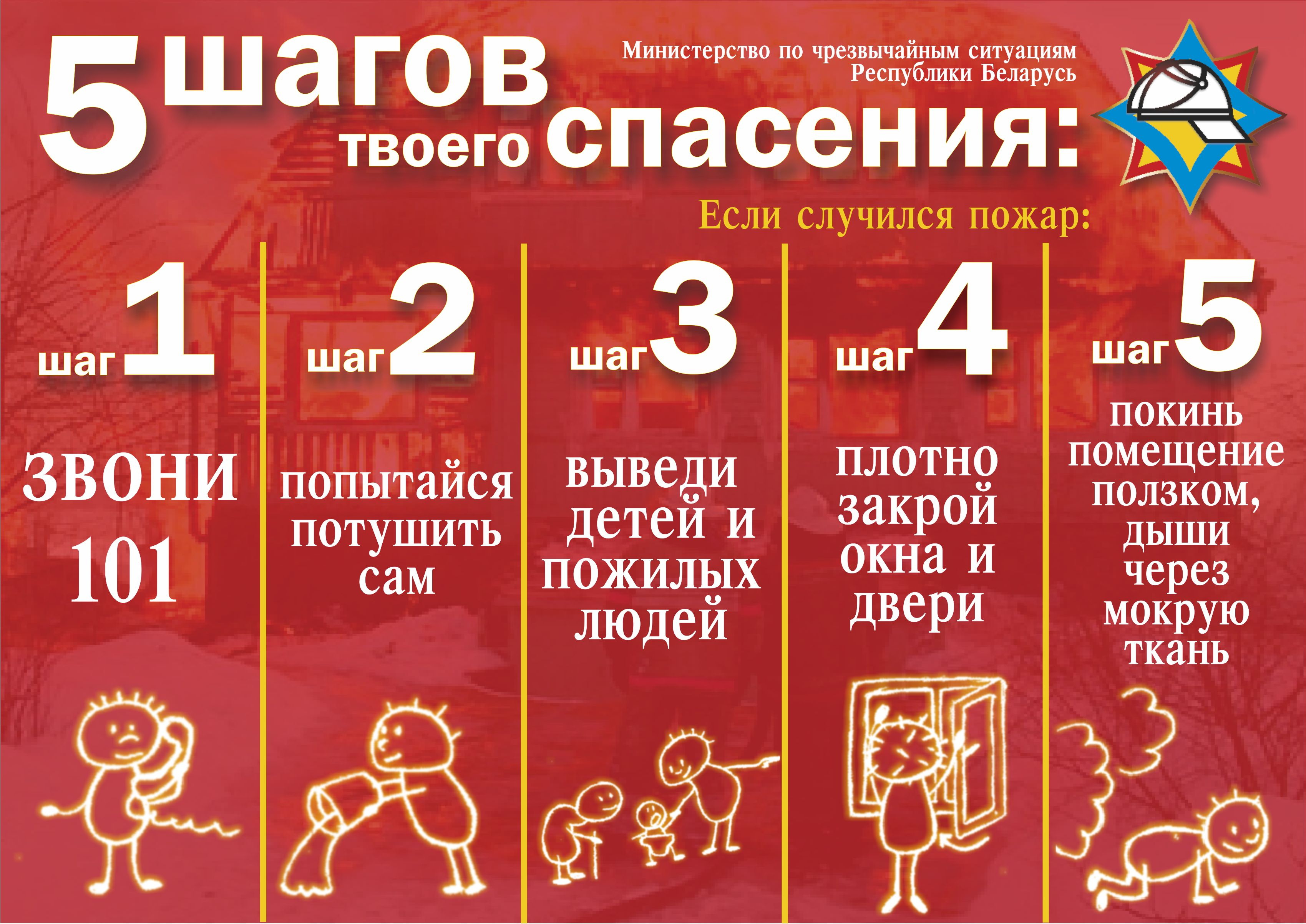 5_шагов.jpg